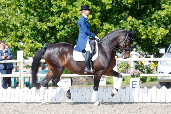 @ CDI-W & Noorhobuste Tsempionaat Koolisoidus, 31.07.2016 © Author: Kylli Tedre / www.kyllitedre.com