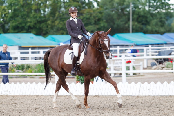Jekaterina Rastostsenkova - DANA DELANY @ Baltic Dressage League Estonia 2015 © Author: Kylli Tedre / www.kyllitedre.com