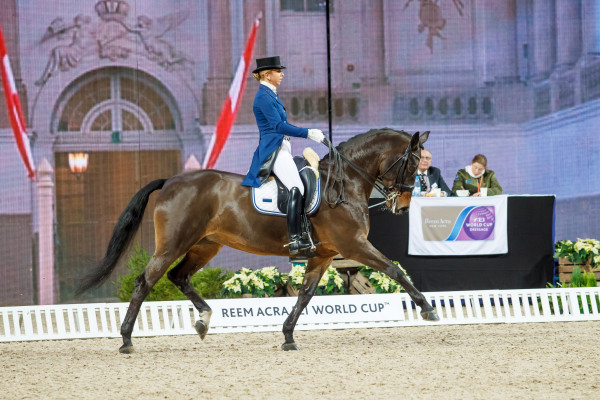 Dina Ellermann - LANDY'S AKVAREL @ Reem Acra FEI World Cup, Sweden International Horse Show 2015 © Author: Kylli Tedre / www.kyllitedre.com