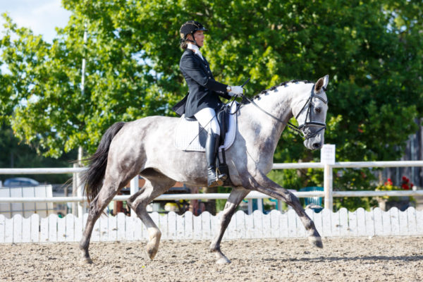 @ CDI-W & Noorhobuste Tsempionaat Koolisoidus, 31.07.2016 © Author: Kylli Tedre / www.kyllitedre.com