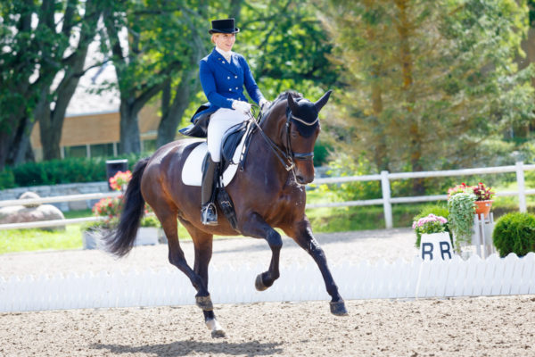 @ Cavalor Baltic Summer Cup, 16.07.2016 © Author: Kylli Tedre / www.kyllitedre.com