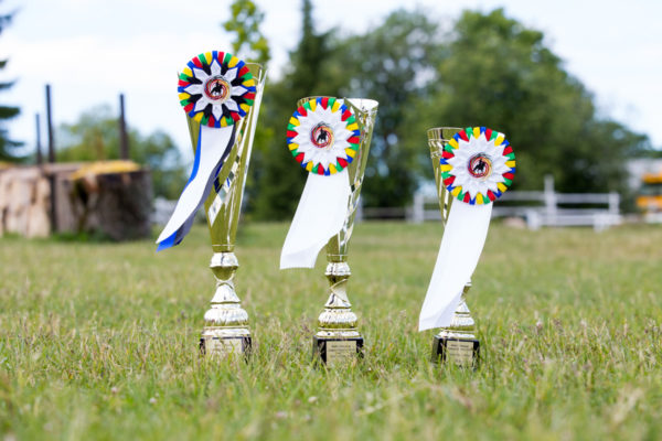 @ Baltic Dressage League Estonia, 12.06.2016. © Author: Kylli Tedre / www.kyllitedre.com
