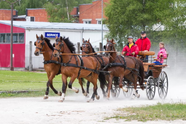 Foto: Merike Udrik-Õispuu