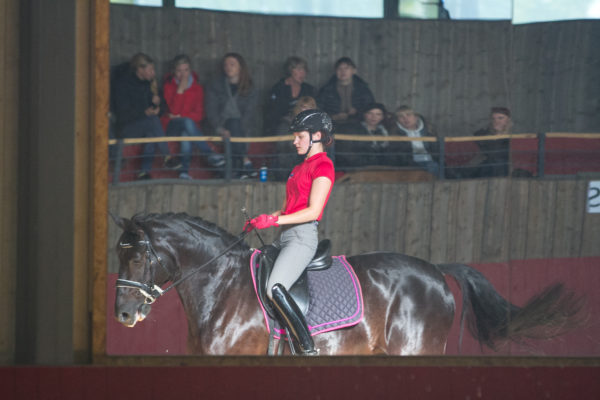 IMG_8667-1 stella marii tamme