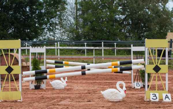 Sammuli kardetud "luigesüsteem". Foto: Merike Udrik-Õispuu