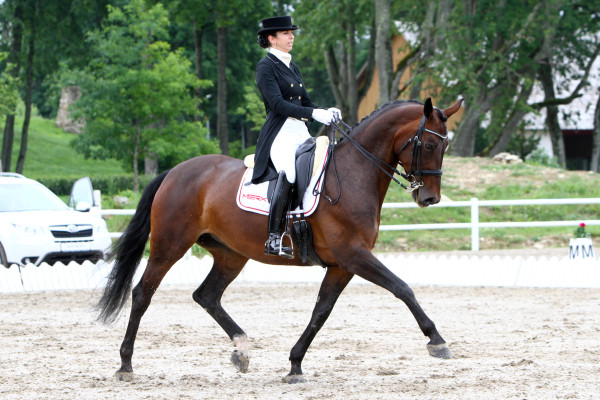 dina ellermann_landys akvarel (3)